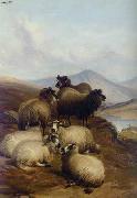 unknow artist Sheep 192 Spain oil painting artist